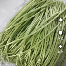 江苏宿迁芦蒿