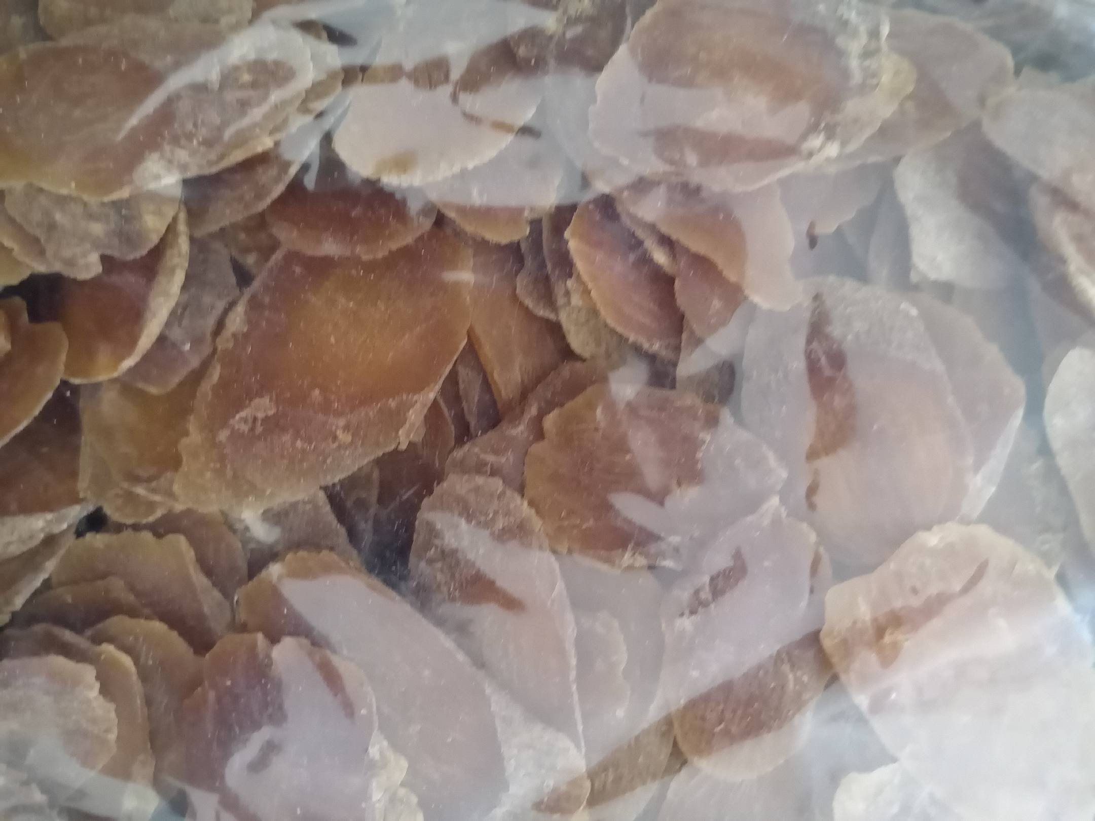 南韩高丽参与国产红参切片对比图