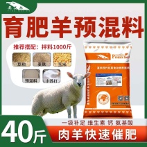 牛羊饲料