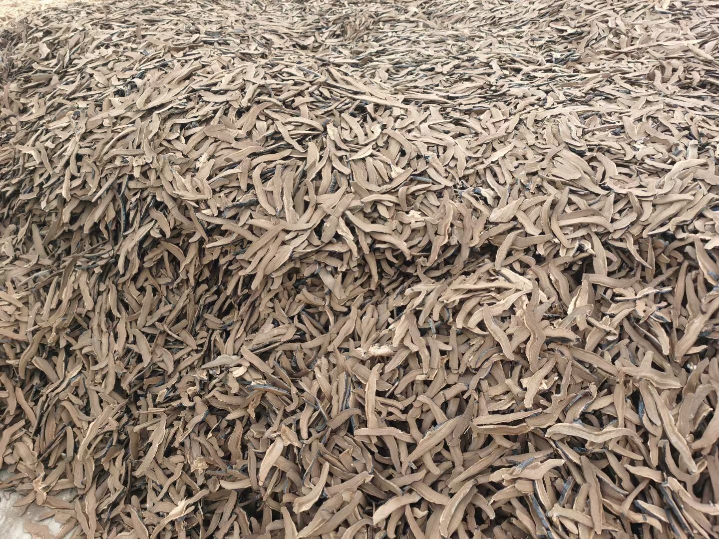 灵芝切片与灵芝图案