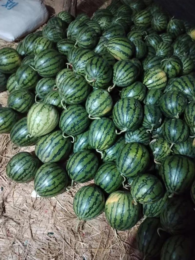 [麒麟西瓜批发]【热卖宁夏石头瓜货源大量上市 15斤起0.55元价格1.