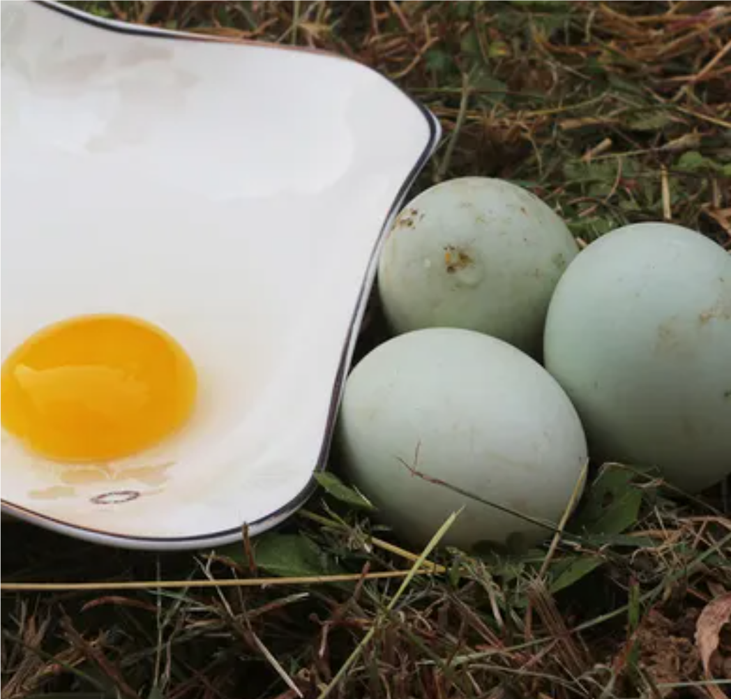 茼蒿鸡蛋饼成品图