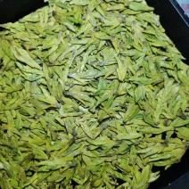 高山龙井，质量优越