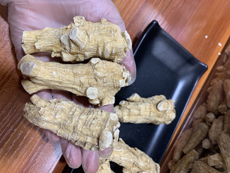 西洋参药材特写：棕黄色纺锤形主根，表面环纹清晰，断面黄白色，木质部放射状纹理明显，附带干燥须根