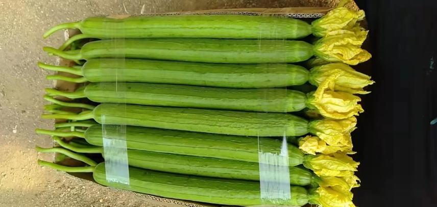 黄西瓜切片摆盘图