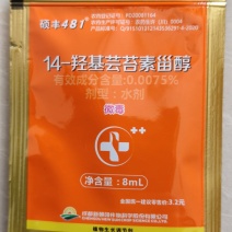 芸苔素内酯硕丰481芸苔素抗寒抗冻增产增收便宜无好货
