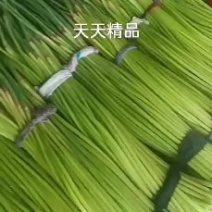 杞县早熟蒜薹