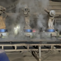 生物颗粒