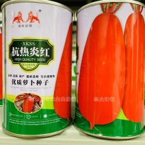 春夏秋红萝卜种子抗热炎红耐热抗病高产红皮白肉萝卜种子