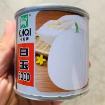 白色甜瓜白玉2000特甜甜瓜种籽早熟薄皮甜瓜种子耐高温