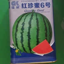 红珍蜜6号，西瓜种子