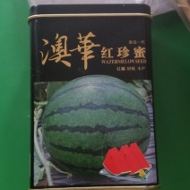 澳华红珍蜜西瓜种子