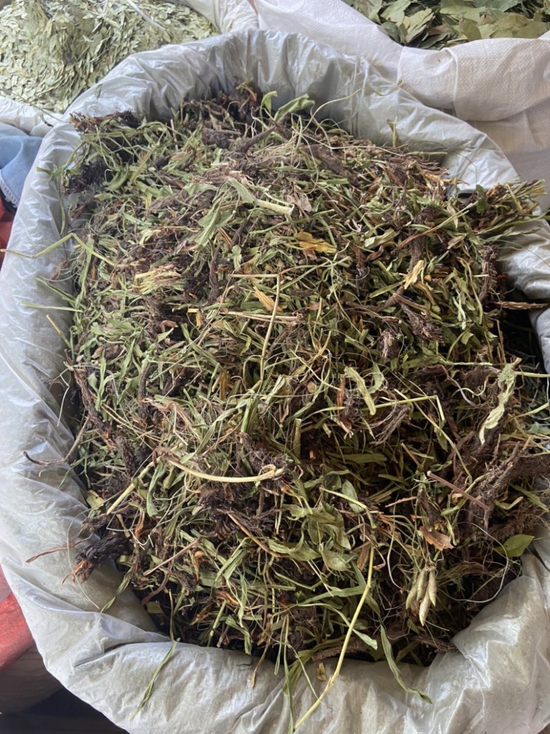 野生甘松 正宗甘菘 干松根 香草香松 甘香松排草香辛料