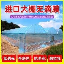 抗老化大棚塑料膜，长寿无泥膜po膜透明加厚塑料布蔬菜