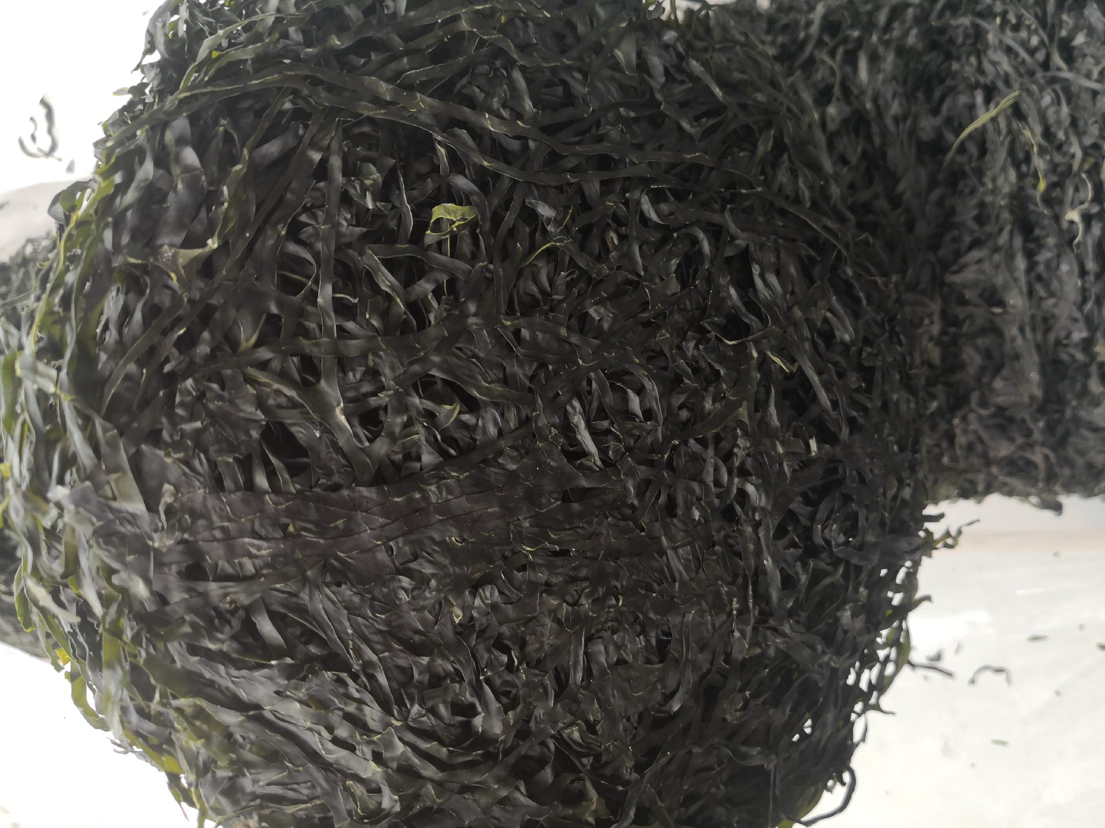干海带用于制作凉拌海带丝 干海带用于制作凉拌海带丝