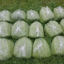 自产自销，二茬精品芦蒿