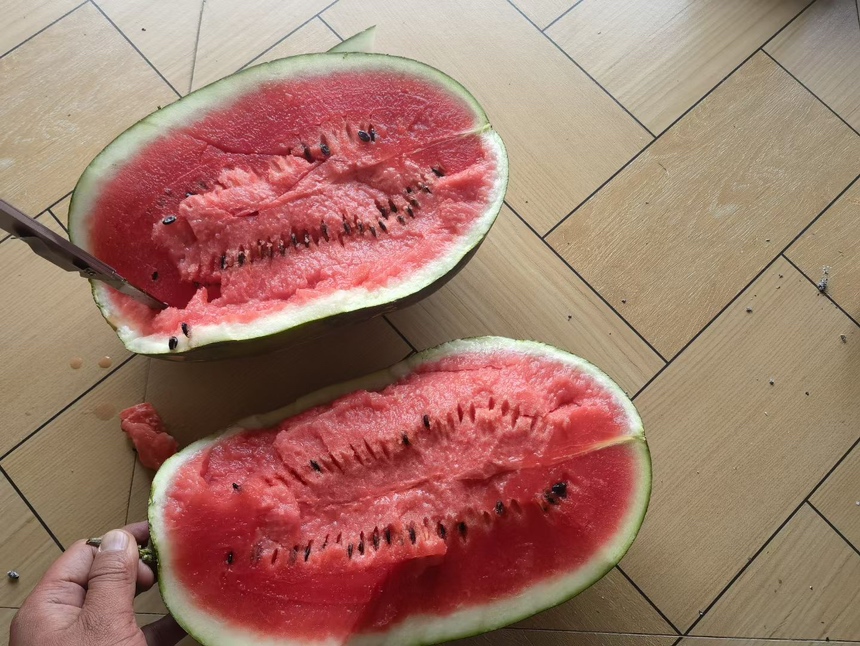 黑美人西瓜切开特写