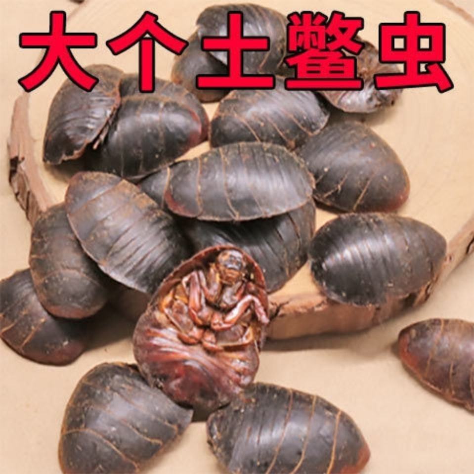 [土元批发]四川成都锦江区土元 175.00元/公斤土元 土鳖子 _ 一亩田