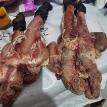 【驴鞭】带宝鞭光杆鞭现货质量好带宝鞭现货