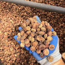 自家刺梨，45吨急售