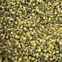 金丝皇菊花茶礼盒出售一手货源大货批发供应全国包邮