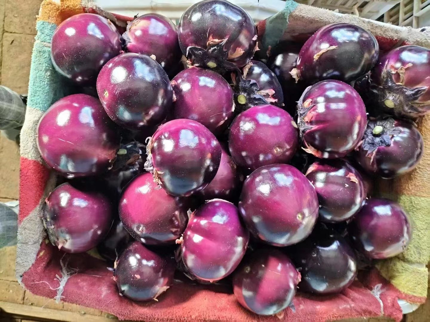 松花菜与新鲜茄子并排摆放在木质菜板上，背景为明亮厨房台面，松花菜花球蓬松洁白如云朵，茄子紫黑油亮、表皮泛自然光泽，旁边散落几颗蒜瓣与一小把小葱，整体色调清新质朴