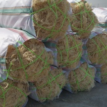龙须菜干货全干无盐特级批发即食凉拌菜减脂海石花菜鹿角菜麒