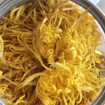 金丝皇菊