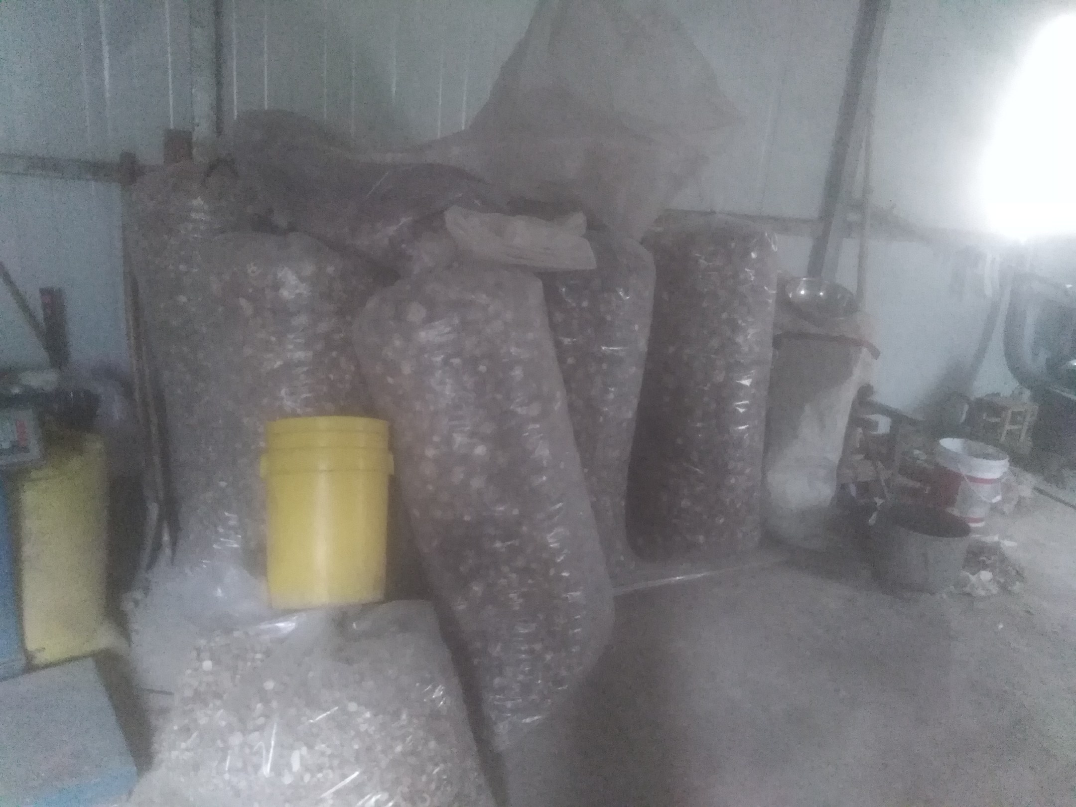 三组不同储存方式的干香菇对比:左侧为敞口陶罐(受潮),中间为密封玻璃罐(状态良好),右侧为塑料袋加干燥剂(最佳),背景为现代厨房橱柜,突出科学储存的重要性 干香菇储存容器对比图