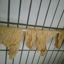 豆油皮