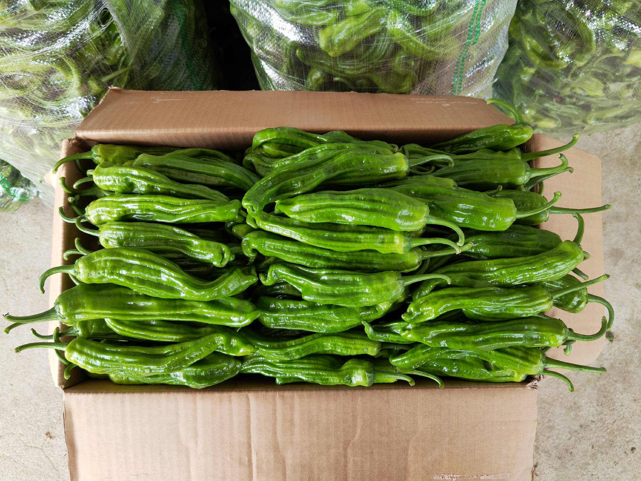 虎皮螺丝椒深加工产品矩阵展示