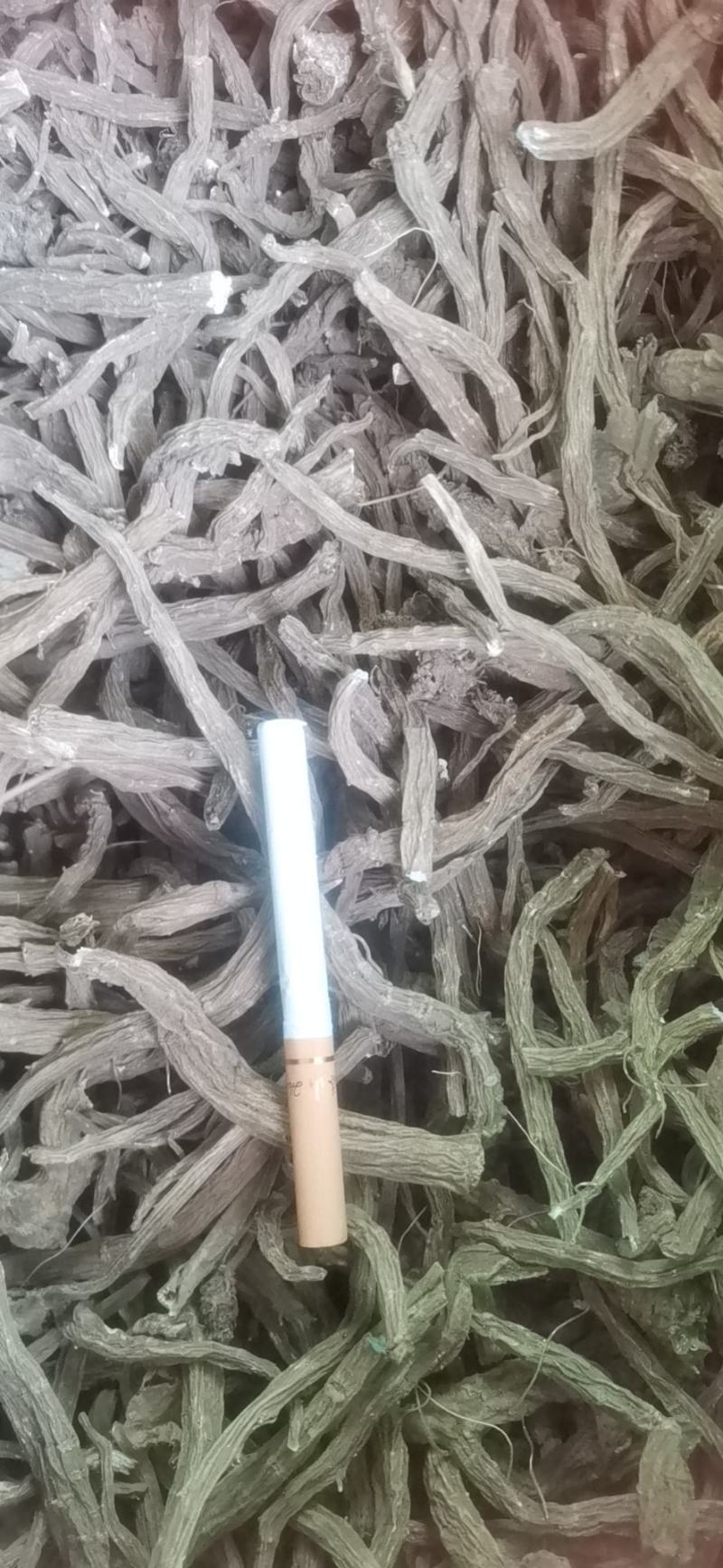 续断和尚头中药材产地代收全年供货一手货源对接药材市场药厂