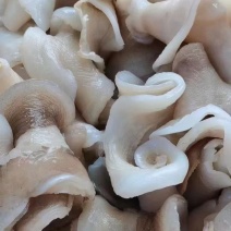 鱼唇