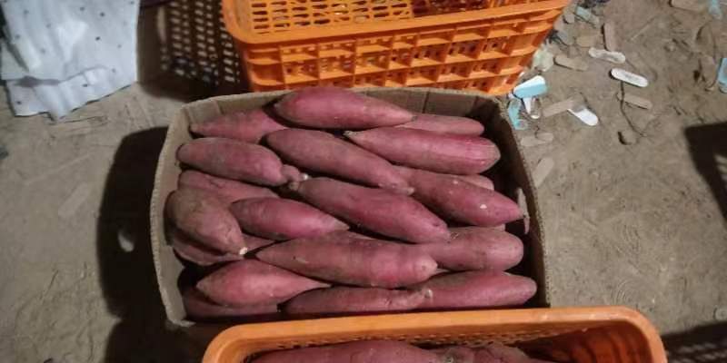 一个木质收纳箱内整齐摆放约8个烟薯,底部铺有牛皮纸,放置在厨房通风角落的木质地板上,背景可见窗帘透入柔和日光,营造出自然居家氛围 家庭储存烟薯场景图