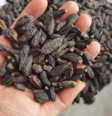 [西青果批发]西青果藏青果干青果橄榄果青果干包邮安国发货.价格21.