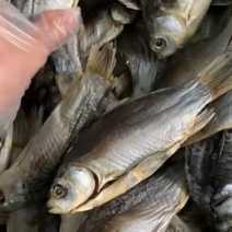 微山湖鲫鱼干
