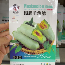 甜蜜羊角酥甜瓜种子灰白皮羊角酥羊角蜜种子