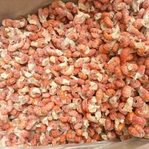 精品龙虾尾，三级200/220粒