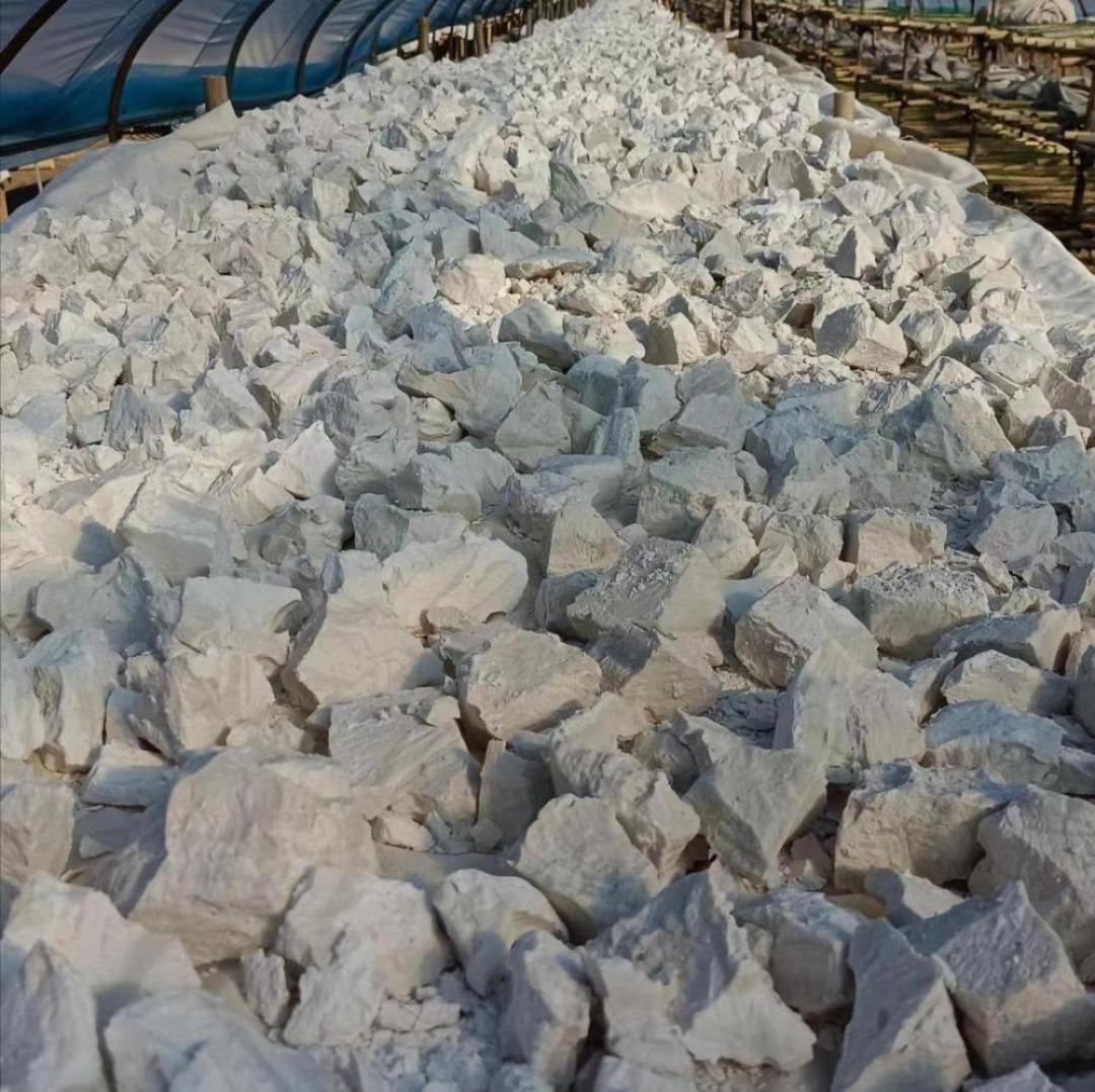 龙薯9号制成的红薯干、红薯粉条等加工食品展示 龙薯9号加工产品展示