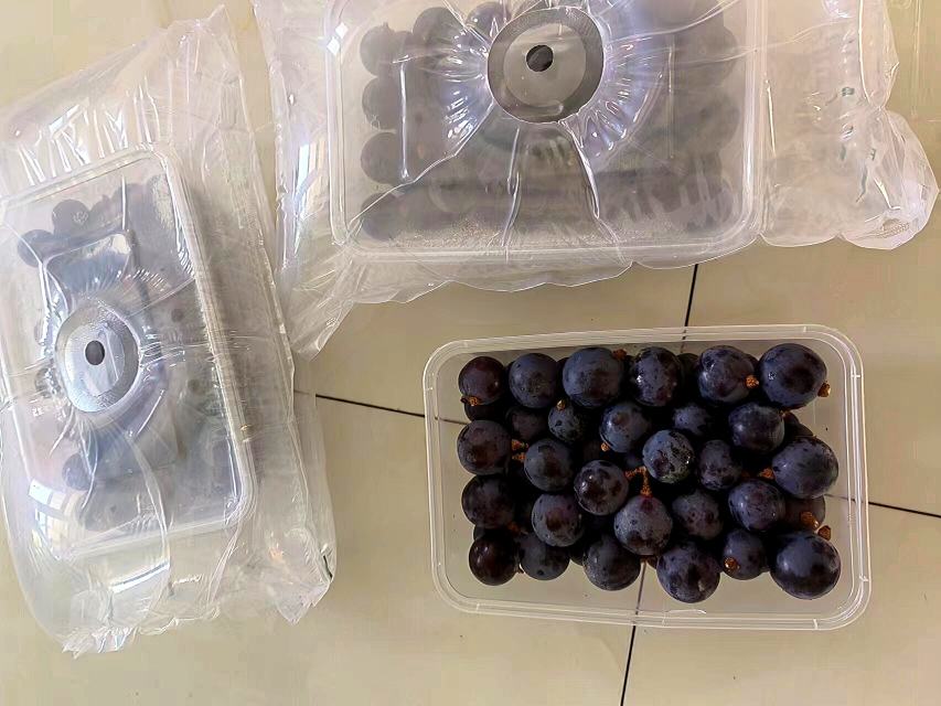 信息图表:四款主流鲜食葡萄的糖酸平衡指数(TSS/TA)对比,数据源自农业农村部农产品质量监督检验测试中心2023年度抽检报告;夏黑葡萄柱状图显著高于其他三组,顶部标注实测区间'35–45',并用蓝色箭头强调其'甜感纯净、酸感隐匿'的感官特征 夏黑葡萄与常见水果糖酸比对比柱状图,含夏黑、巨峰、阳光玫瑰、红提四组数据,X轴为TSS/TA比值,Y轴为数值,夏黑柱最高且标注'35–45'