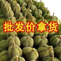 泰国金枕榴莲一手货源长期供应可视频看货包上车运费自