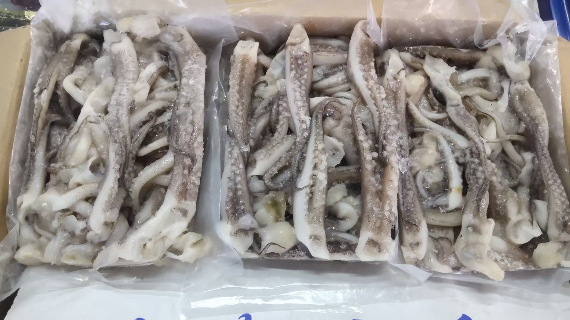 现代化冷链仓储中的太平洋真鱿鱼须分级包装:S级(小)与L级(大)独立温控存储,箱体清晰标注体径范围、捕捞坐标及SC生产许可编号 冷链仓储实景图:恒温-18℃冷库内整齐码放的太平洋真鱿鱼须真空包装箱,箱体印有SC编码、捕捞海域(东太平洋秘鲁外海)、规格分级标签(S级:6–8mm;L级:14–18mm)