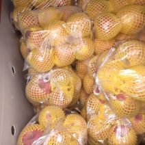 纯纸袋高次