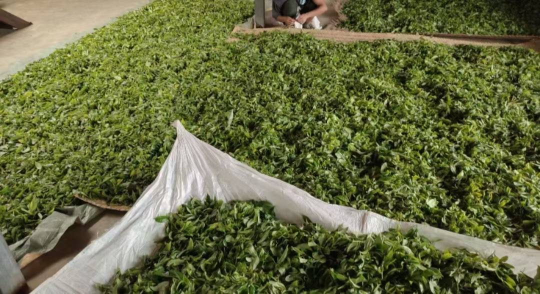 喷洒除草剂时的防护措施