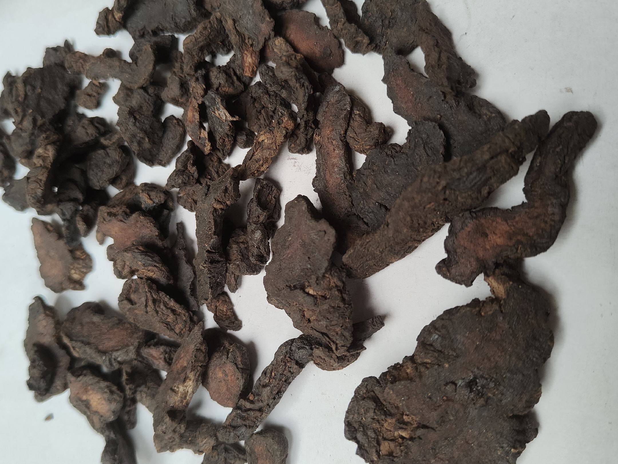 高清微距摄影:深褐色油润熟地黄切片,表面可见明显黏液质反光与细密纵皱纹,断面呈乌黑油亮状,质地柔韧不脆,无焦糊斑点,体现九蒸九晒传统工艺标准 怀庆府道地熟地黄切片特写