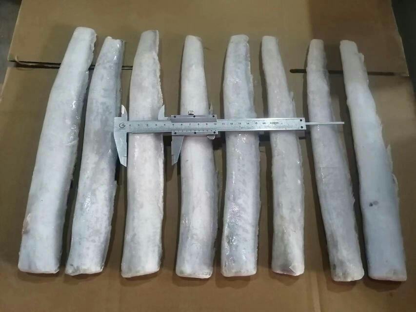 带鱼与健康饮食结构示意图