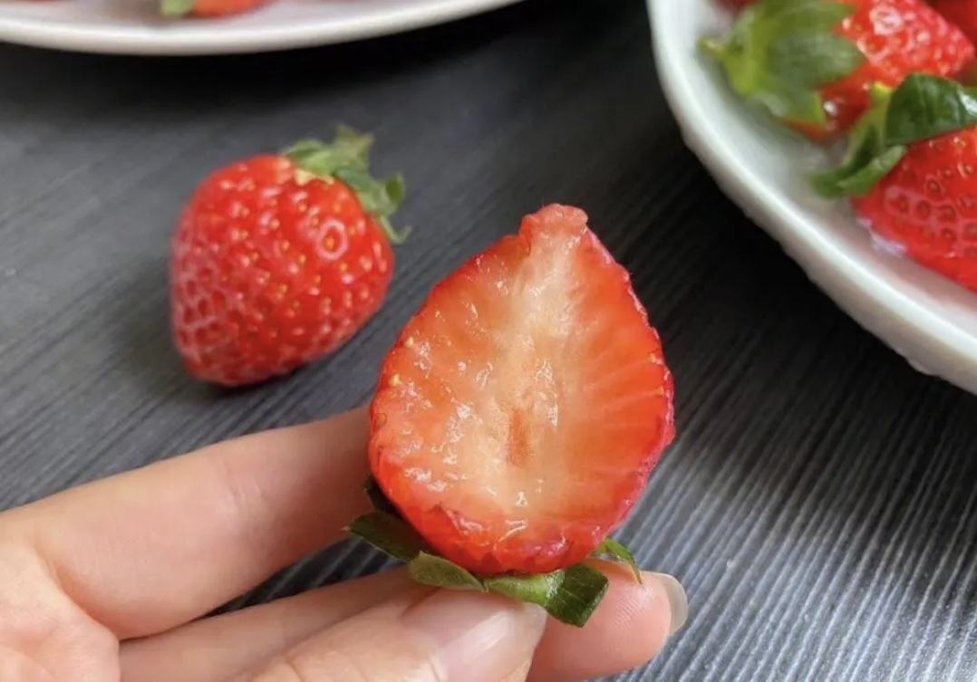 红颜草莓剖面图