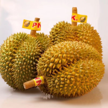 金枕榴莲质量保证超市电商一件代发平台