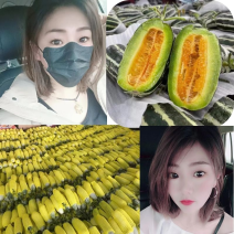 博洋甜瓜博洋9.61山东甜瓜皮薄肉脆产地货源价格
