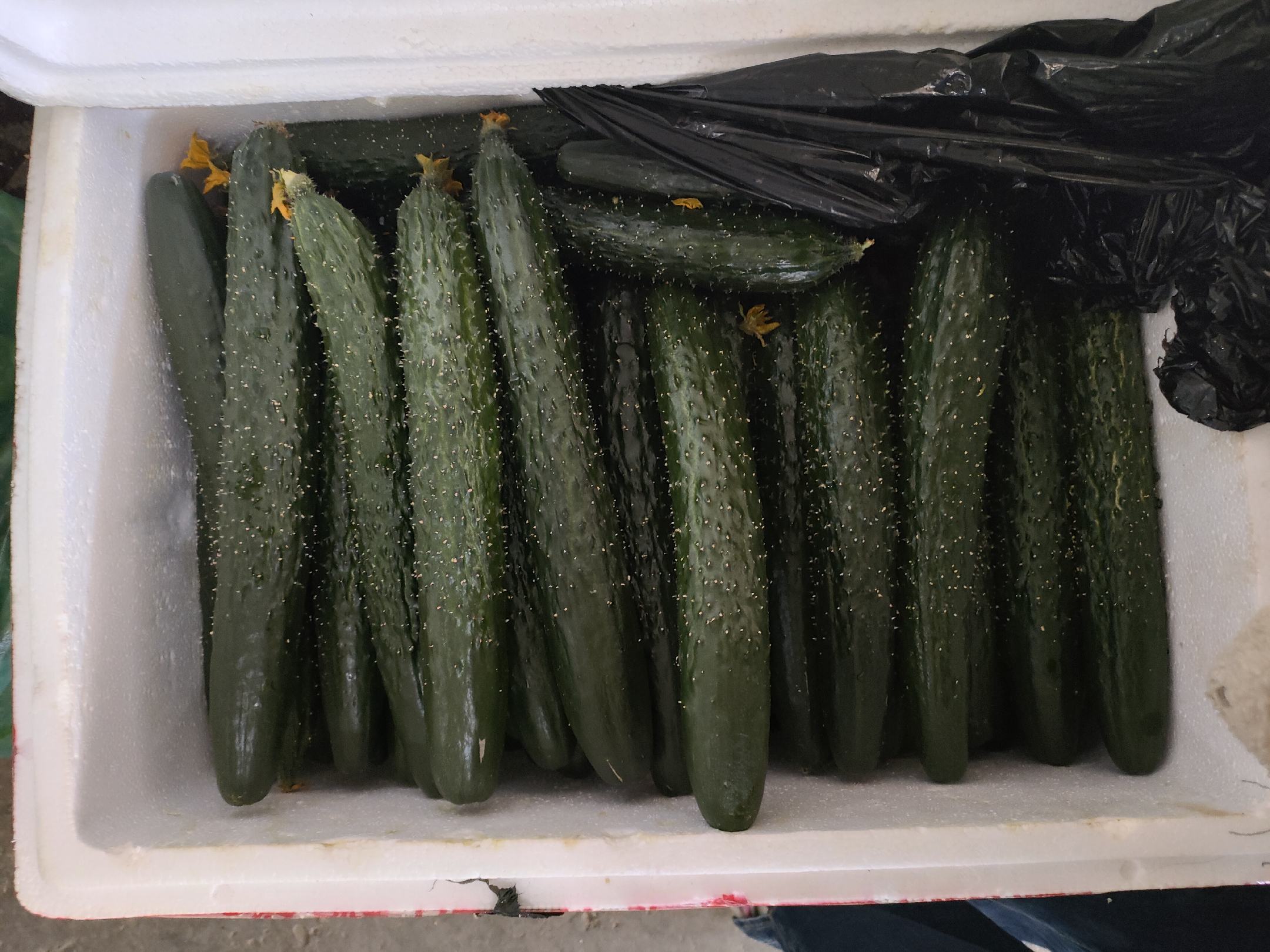 超市蔬菜区螺丝椒专柜实景